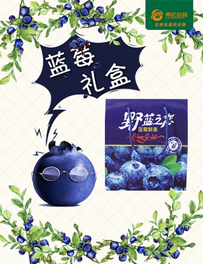 蓝莓礼盒