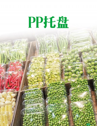 PP托盘