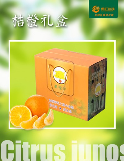 橘橙礼盒